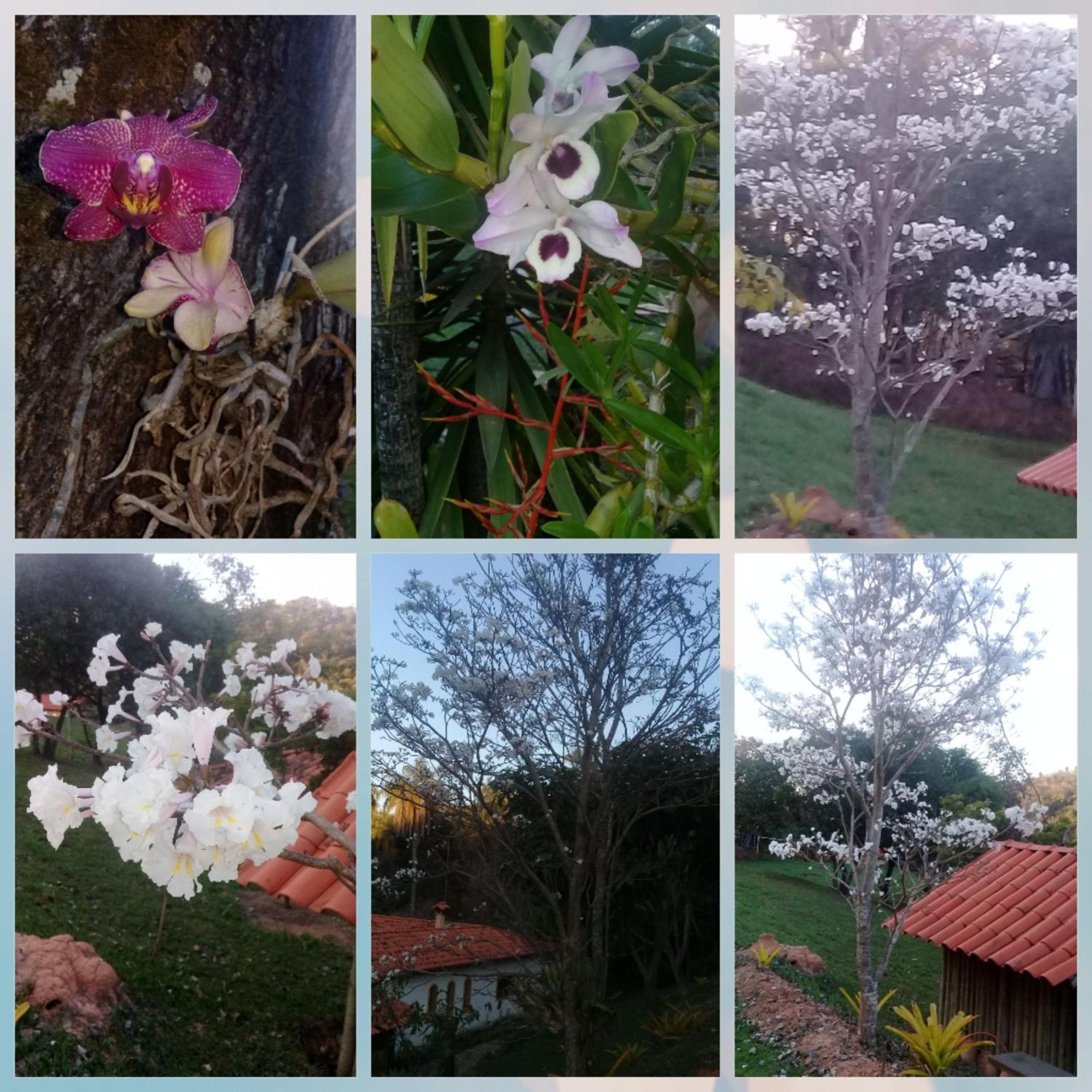 Pousada Rancho Flores Caeté Exteriér fotografie
