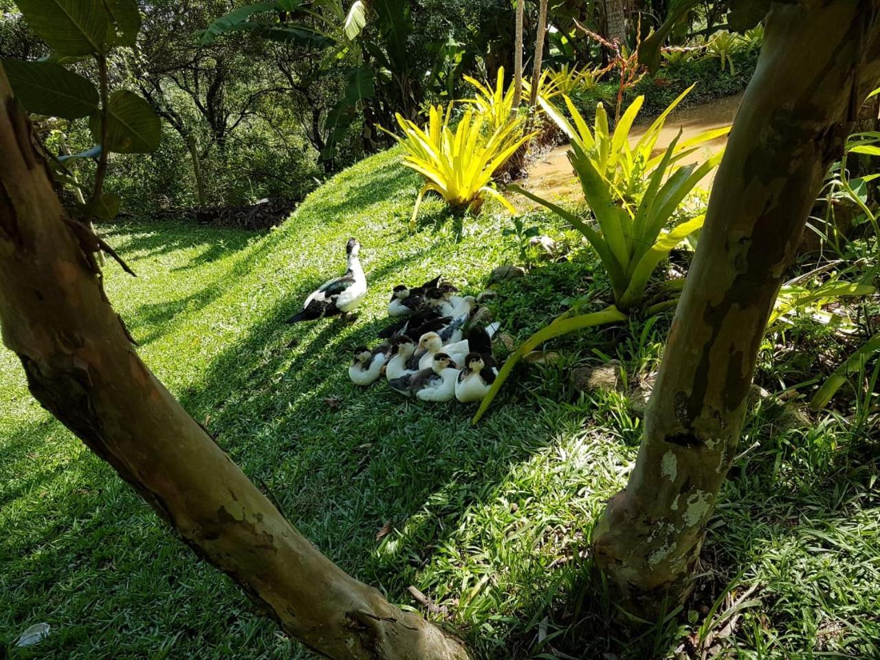 Pousada Rancho Flores Caeté Exteriér fotografie